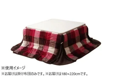 【送料無料】 洗える 省スペースこたつ薄掛け布団 「ジャーナル省S」 ローズ 約180×220cm 1181750241621
