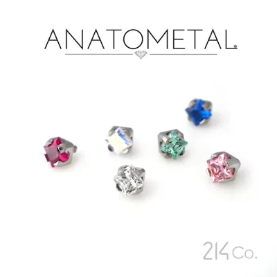 2mm プリンセスエンド 単品 ANATOMETAL