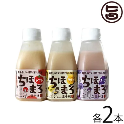 まろうど酒造 あまざけ 乳酸菌 ちほまろ 150g×3種×各2本 ボックスセット