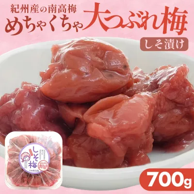 紀 州南高梅 しそ 梅 700g めちゃくちゃ大つぶれ梅 訳アリ 塩分補給 熱中症対策 おかず お弁当 おにぎり 梅酒 焼酎 おすすめ 免疫 お徳用 ご家庭用 プレゼント ギフト
