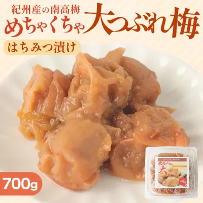 紀州南高梅 はちみつ 梅 700g めちゃくちゃ大つぶれ【大容量・訳あり】送料無料 お弁当 おにぎり 梅酒 焼酎 おすすめ 免疫 塩分補給 熱中症対策 お徳用 ご家庭用 プレゼント