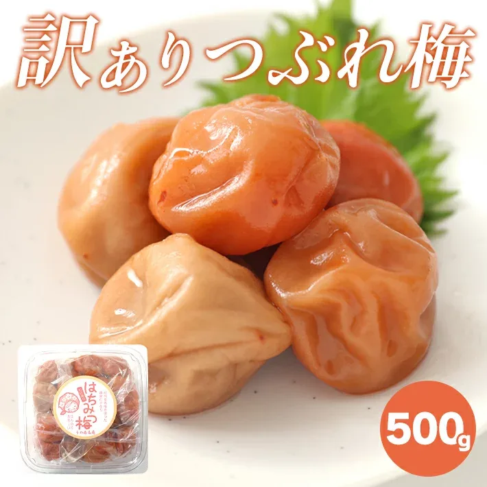 紀州南高梅 はちみつ 梅 500g 訳アリ 大 つぶれ梅 お弁当 免疫 塩分補給 熱中症対策 お徳用 ご家庭用 プレゼント 手土産 ギフト 母の日 父の日 お中元 敬老の日 お歳暮