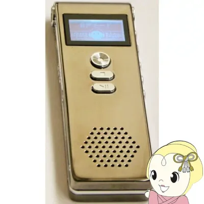 【エントリーで当店全品最大P5倍 10/24 20時~10/27 9:59】キヨラカ 250時間 ICレコーダー 「長録君」 WK-I01【/srm】