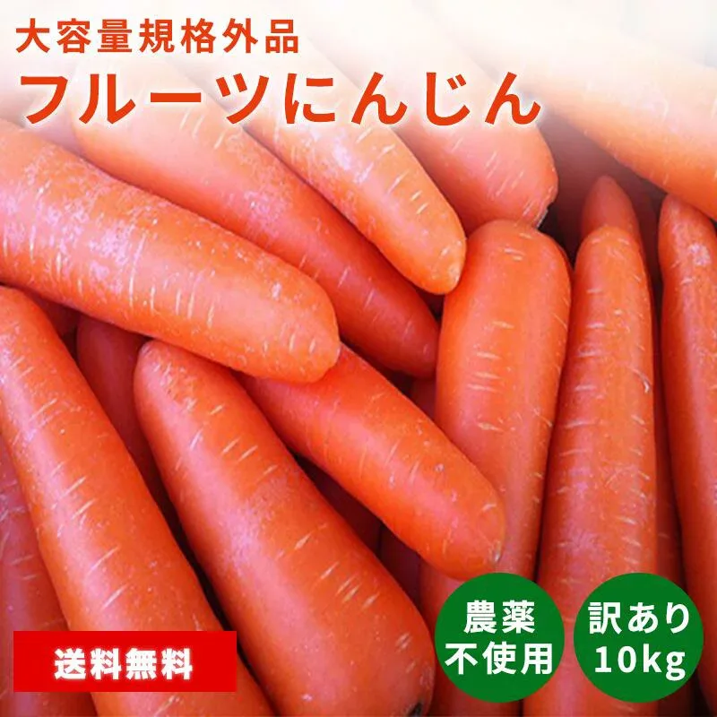 わけあり フルーツにんじん 約10kg 訳あり 人参 にんじん 規格外品含む 土づくり農薬不使用 ニンジン carrot