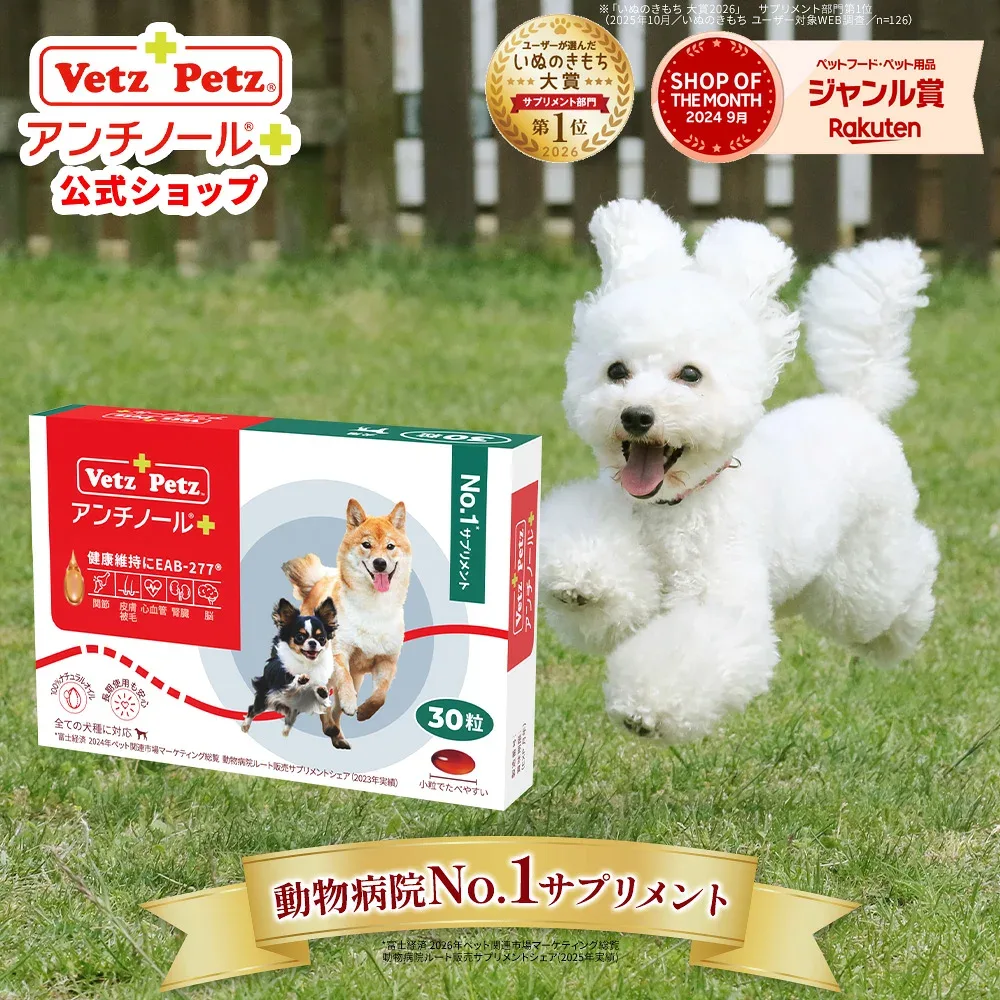 【公式】 アンチノール プラス ペット サプリ サプリメント 犬用 ペット用 関節 健康 皮膚 免疫 腎臓 脳 高齢 シニア モエギイガイ ナチュラル 動物 DHA EPA
