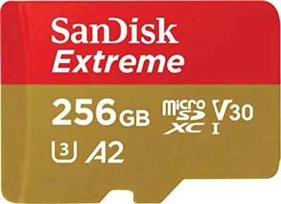 Micro SD Card, 256 GB, SanDisk, UHS-3, Class 10, Nintendo Switch Recommended, SDSQXAV-256G-GN6MN SD Converter, No SD Adapter,