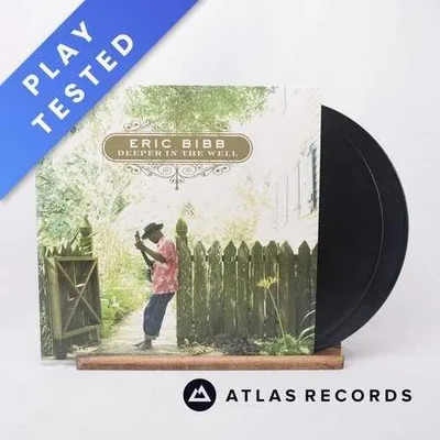 Eric Bibb Deeper In The Well A B C D Gatefold 2 x LP アルバム ビニールレコード - NM/EX