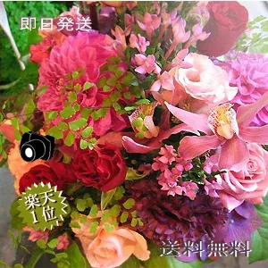 花 ギフト 誕生日 敬老の日 送料無料 楽天1位 【花 ギフト】 おまかせ季節の花アレンジM バースデー 誕生日 蘭 プレゼント フラワー ギフト 結婚祝い 還暦 祝電 フラワーアレンジメント 最短翌日 開店祝い 花 ギフト 即日 記念日 長寿祝い 画像配信 楽屋花 入学祝い