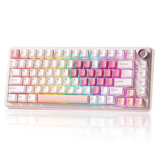 YUNZII B75 PRO 75% ガスケットゲーミングキーボード 無線メカニカルキーボード BT/2.4G/有線 ワイヤレス ホットスワップ 搭載 RGB ノブ付きカスタムキーボード Mac/Win用 技適認証取得 (ホワイト,