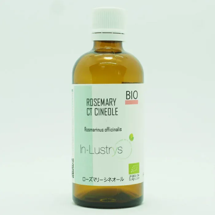 ウインターグリーン 100ml 精油 アロマオイル《エコサートEU認証》インラストリーズ 業務用サイズ