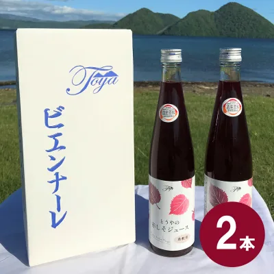とうやの 赤しそジュース 2本入り しそジュース 紫蘇ジュース シソジュース 希釈タイプ 3倍〜4倍 北海道産【送料無料】 常温 / お取り寄せ 通販 プレゼント ギフト おすすめ /
