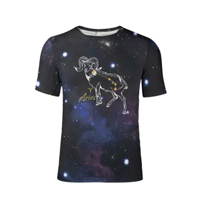 Tシャツ メンズ 男性用 牡羊座 星座プリント 星空柄 カジュアル 普段使い ルーズフィット ゆったり 半袖 クルーネック ポリエステル トップス 春夏