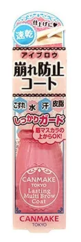 井田ラボラトリーズ キャンメイク ラスティングマルチブロウコート 01 クリア (7mL) アイブロウコート