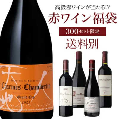 【送料別】高級ワインを探せ! 赤ワイン福袋 第76弾!シャルム シャンベルタン 2023 ルー デュモンが入ってるかも!?【先着300セット】ボルドー ブルゴーニュ ドイツ イタリア赤ワイン リカーマウンテン WK くじ 福袋 浜運