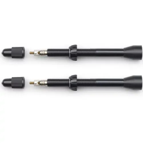 Scope Tubeless valves R4/S4