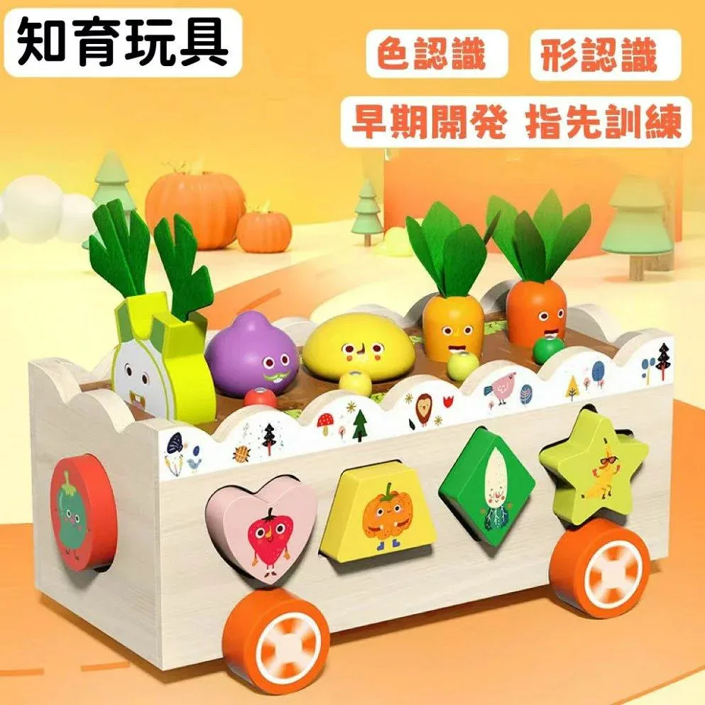 出産祝い 知育玩具 指先訓練 プレゼントランキング早期開発 3歳誕生日 2 1 形が揃う木のおもちゃ 女の子 男の子 知育玩具
