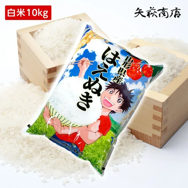 【送料無料】令和7年産 山形県産 はえぬき 白米10kg【四国・九州への配送は+400円/沖縄・離島への配送は+1,000円加算】