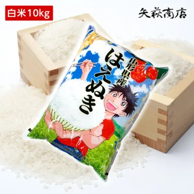 【送料無料】令和7年産 山形県産 はえぬき 白米10kg【四国・九州への配送は+400円/沖縄・離島への配送は+1,000円加算】