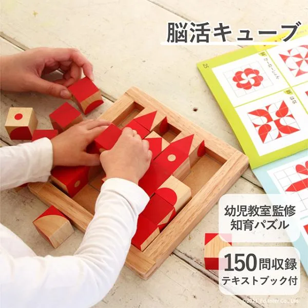 エドインター GENI 脳活キューブ 木製知育玩具 25ピース 3歳 17模様 特典付き