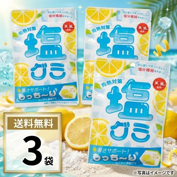 ポイント消化 送料無料 グミ 塩グミ レモン味 3袋 おやつ お菓子 ぐみ お試し 少量 子供会 景品 詰め合わせ 赤穂化成