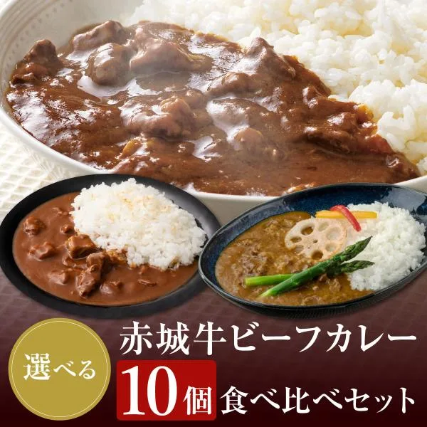 カレー 赤城牛 ビーフカレー 選べる10個 セット 常温 国産牛 牛肉 レトルトカレー ギフト