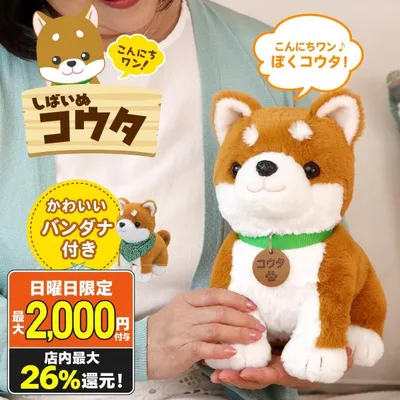 ぬいぐるみ こんにちワン! しばいぬコウタ バンダナ付セット 柴犬 人形 一人暮らし 高齢者 話し相手 喋る aiロボット 音声認識 高齢 プレゼント ギフト 爆買