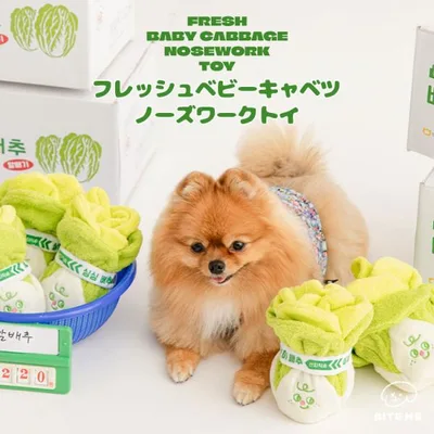 BITE ME バイトミー フレッシュベビーキャベツ ノーズワークトイ 犬 おもちゃ 犬用おもちゃ ノーズワークトイ 知育玩具 知育トイ おやつ隠し おやつトイ