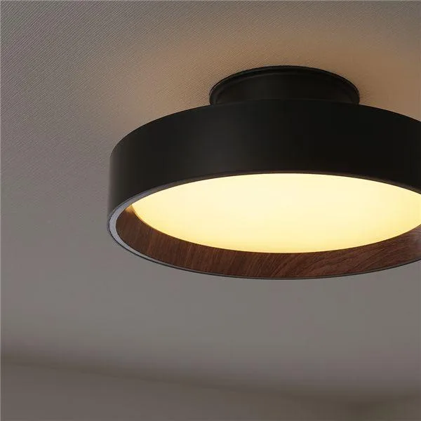 シーリングライト 調光調色 LED リモコン付き 直径39×高さ15cm 照明器具 メモリー機能 オフタイマー リビング ダイニング 寝室 LUUD ルード 送料無料