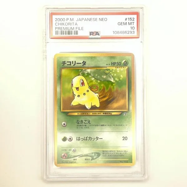 PSA10 チコリータ LV.19 旧裏 プレミアムファイル PSA10 極美品 Pokemon ポケモン ポケモンカード