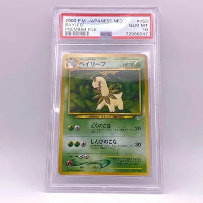 PSA10 ベイリーフ LV.33 旧裏 プレミアムファイル PSA10 極美品 Pokemon ポケモン ポケモンカード