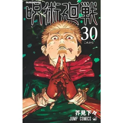 呪術廻戦 30/芥見下々