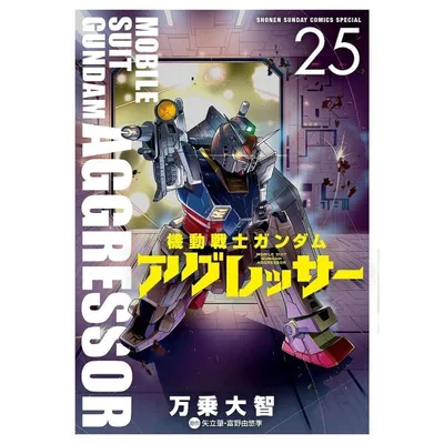 〔予約〕機動戦士ガンダム アグレッサー 25