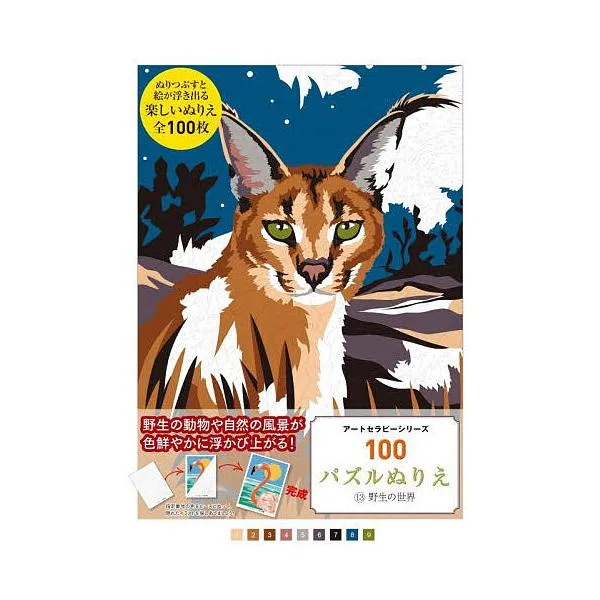 100パズルぬりえ 13