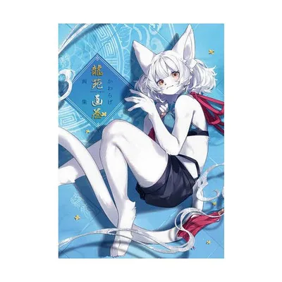 龍苑画巻 かわらげ画集/かわらげ