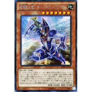 遊戯王 シークレットレア 破壊剣の使い手−バスター・ブレイダー ブレイカーズ・オブ・シャドウ(BOSH)