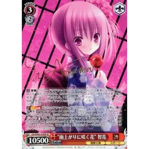 ヴァイスシュヴァルツ 電撃文庫 雨上がりに咲く花 智花(SP)※箔押しサイン Grk/WS02-078SP | ロウきゅーぶ キャラクター スポーツ 赤"