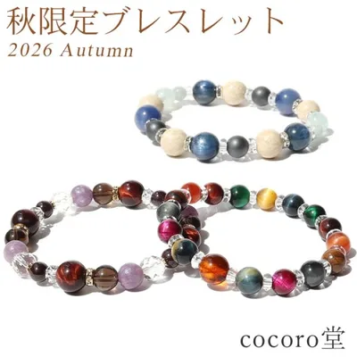 パワーストーン ブレスレット 2026年 秋限定 金運 恋愛 人間関係 幸運 天然石 メール便送料無料 ※説明書付き