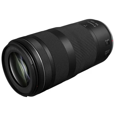 Canon RF100-400mm F5.6-8 IS USM