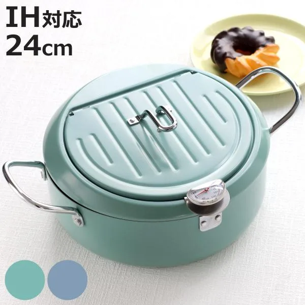Deep fryer 24cm IH compatible iron vat with lid and thermometer (gas fire compatible deep fryer iron deep fryer with lid and oil splash guard)