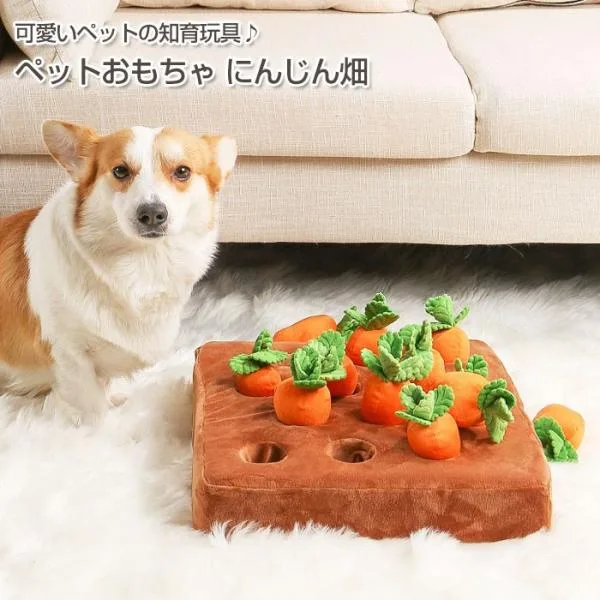 にんじん畑 ノーズワークトイ 犬 猫 知育玩具 知育おもちゃ ペット用品 ぬいぐるみ 人参 遊び 運動不足 トイ ストレス解消 ペット おもちゃ COTEN