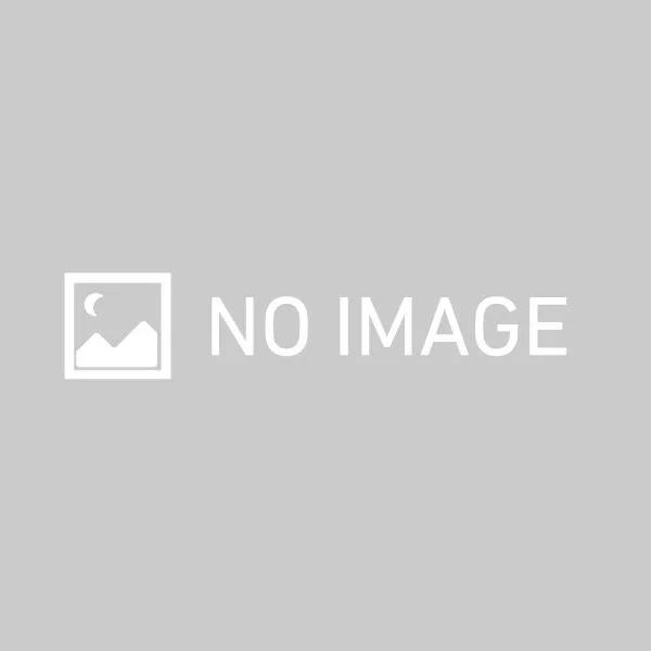 ★Aladdin X Aladdin X2 Light AX2P24U03DJ【プロジェクタ】【送料無料】