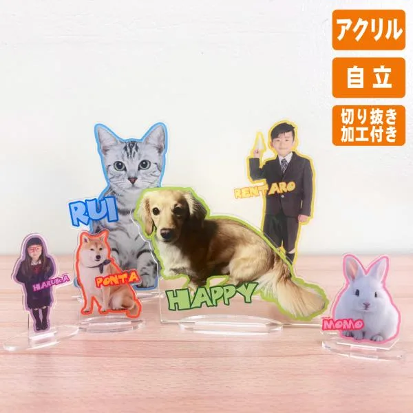 アクリルスタンド アクスタ オーダー オリジナル 写真 名入れ 名前 子供 ペット 犬 猫 愛犬 愛猫 うさぎ ハムスター 父の日 母の日 卒業 卒団 記念品