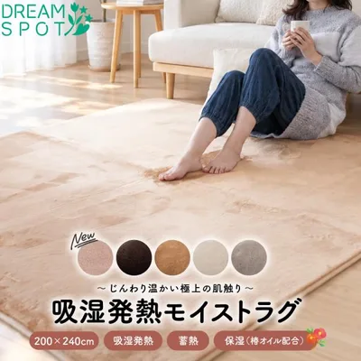 ラグ 洗える 3畳 カーペットカバー 吸湿発熱 保湿 蓄熱 ラグ 滑り止め ラグマット センターラグ 絨毯 洗える ホットカーペット 冬用 床暖房 200×240cm