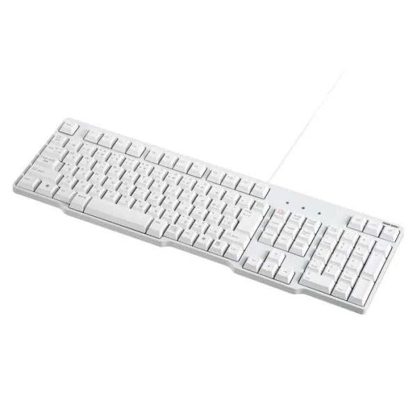 即日出荷 代引不可 USBキーボード 標準日本語配列 スタンダード サンワサプライ SKB-L1UN