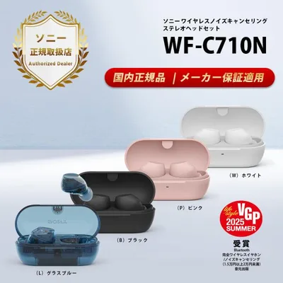 SONY WF-C710N ソニー ノイズキャンセリング 完全ワイヤレスイヤホン Bluetooth カナル型 ANC 外音取り込み マイク付き 小型 軽量 高音質