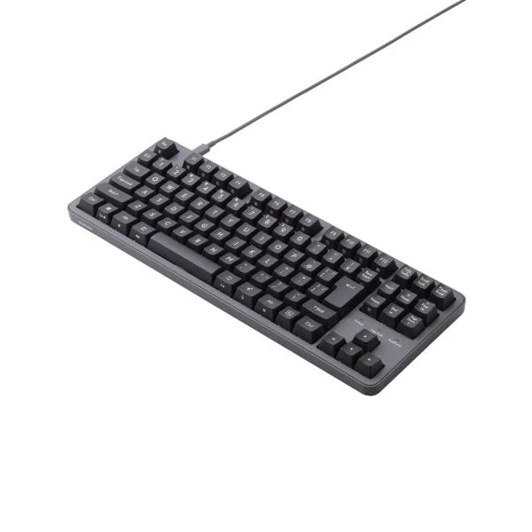 エレコム Leggero USB有線メカニカル テンキーレス キーボード 静音赤軸メカニカルスイッチ グレー ELECOM TK-MC31UKPAGY