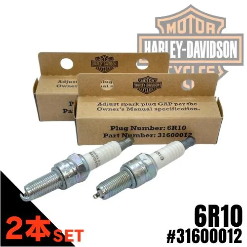 HARLEY-DAVIDSON (ハーレーダビッドソン) スパークプラグ 6R10 No.31600012【2本セット】