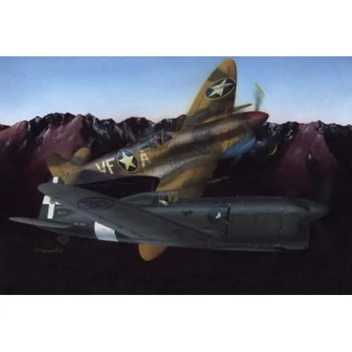1/48 アンブロジーニ SAI.207 【LF4801】 (プラモデル)