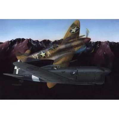 1/48 アンブロジーニ SAI.207 【LF4801】 (プラモデル)