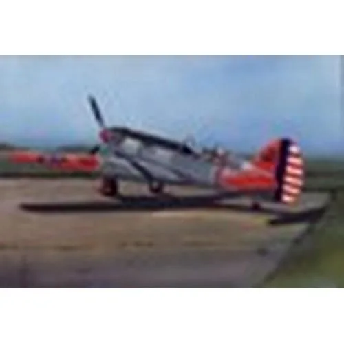 1/48 カーチス YP-37 【LF4811】 (プラモデル)